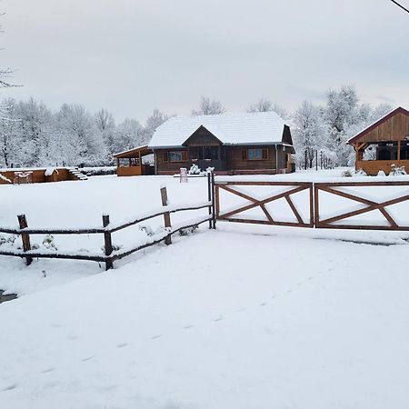 Kuca Za Odmor Jopi I Mare Villa Topusko Exterior photo