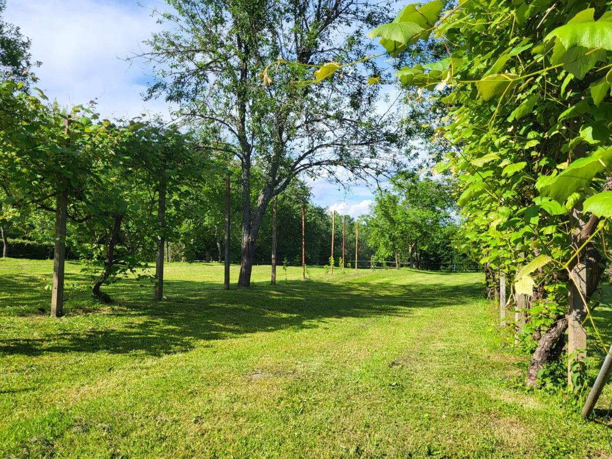 Kuca Za Odmor Jopi I Mare Villa Topusko Exterior photo